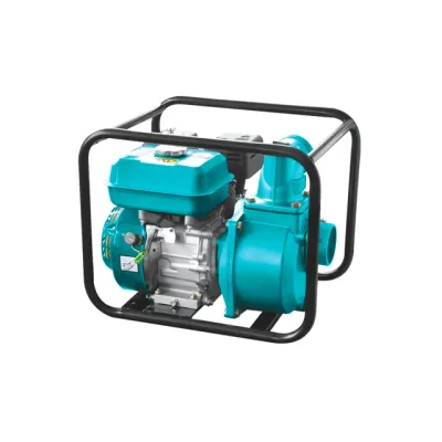 Бензинли сув насос Pollwon PW166-BN100 5250 Вт
