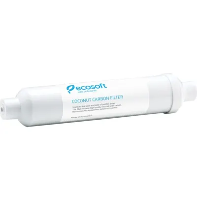 Ecosoft teskari osmos tizimlari uchun ko'mirdan keyingi filtr (CHV2010ECO)