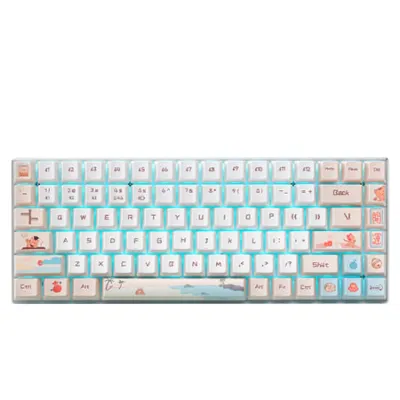 Rapoo MT510 Pro simsiz klaviaturasi