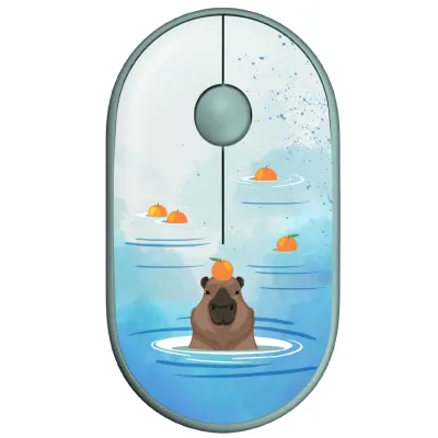 Sichqoncha simsiz 2e Mf300 Capybara Mandarin Silent WL BT (2E-MF300WCAPIBARAGN), Green