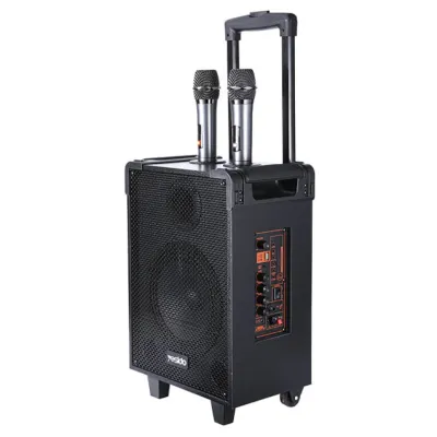 Yesido YSW16 40W simsiz kolonkasi